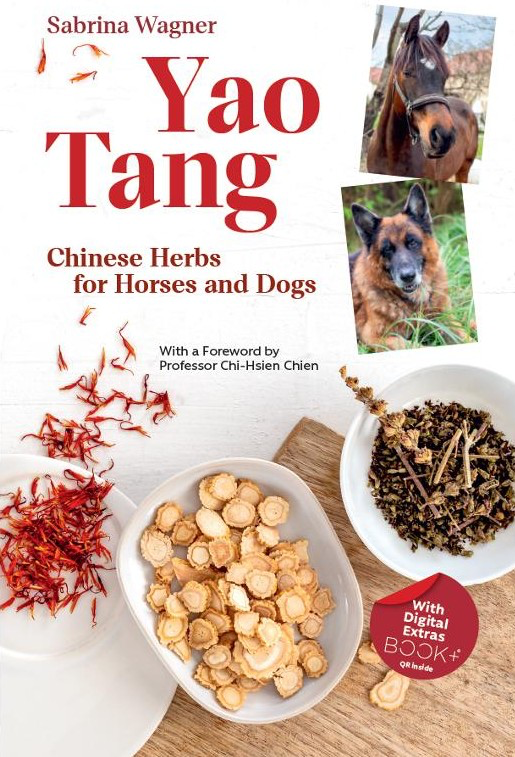 Cover-Yao Tang-E.webp